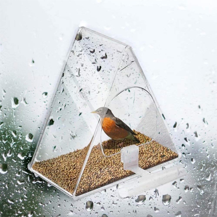 Cage à oiseaux en acrylique Transparent Pet Box Triangle Mangeoire à oiseaux
