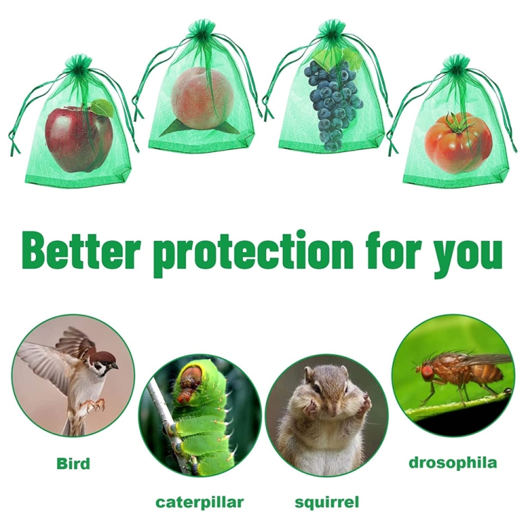 100 Stück Obstschutzbeutel Anti-Insekten- und Anti-Vogel