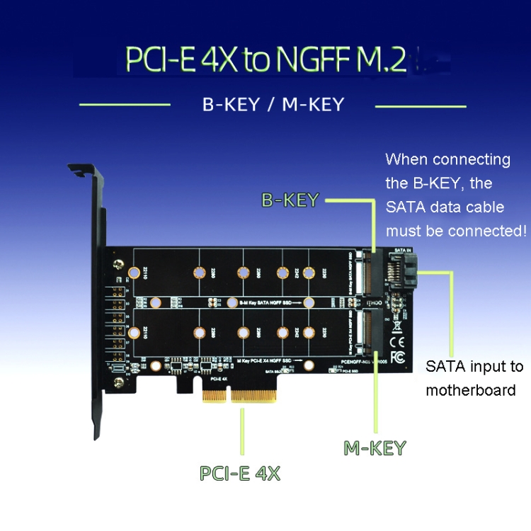 Tarjeta adaptadora M.2 PCIe SSD PCIE 4x a M.2 Key M B Tarjeta de interfaz dual - 6