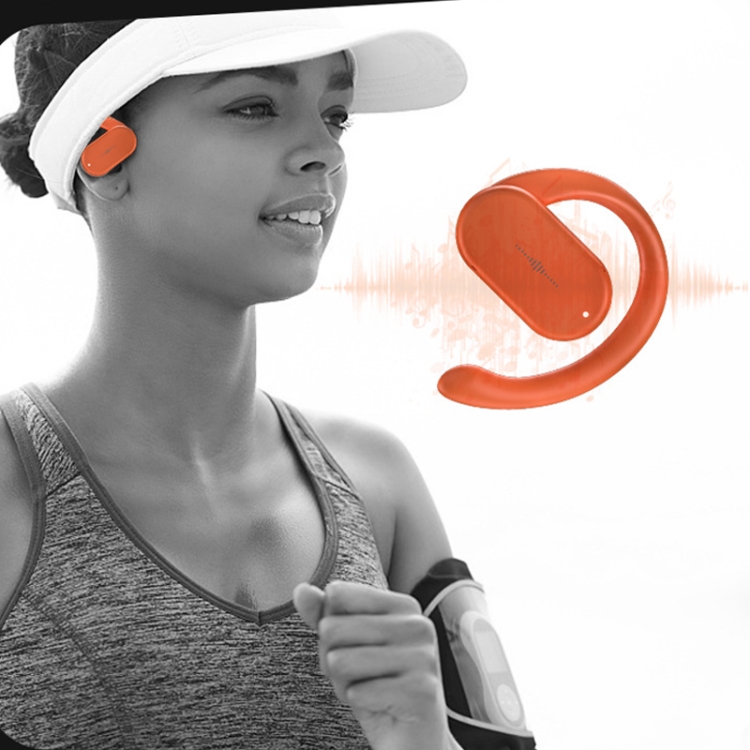HD313 Earhook OWS Noise Reduction Bluetooth Earphone Subwoofer Sport Wireless Headset(Black) HD313 Earhook OWS Noise Reduction Bluetooth Earphone Subwoofer Sport Wireless Headset(Black)