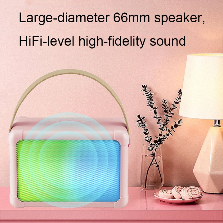 Portable Bluetooth Speaker Home Mini Karaoke Audio, Style: Dual