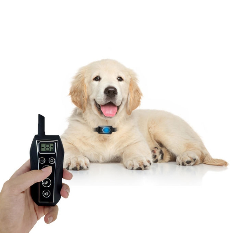 Dispositif de dressage de chien télécommandé électronique