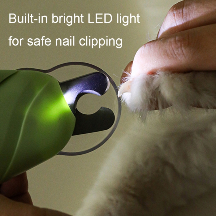 How to Clip a Bird's Nails - YouTube