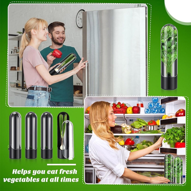 Herb Crisper Vegetable Keep Fresh Container Cilantro Herb Storage ...