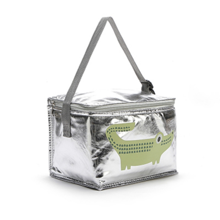 small insulated lunch bolsa