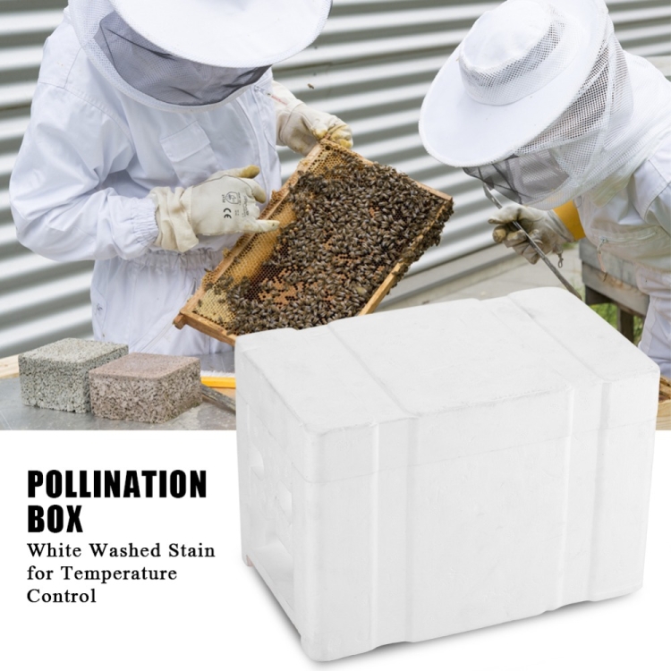 Simplepollinator Box Bee Heading Box Foam Breeding Box Pollination Box