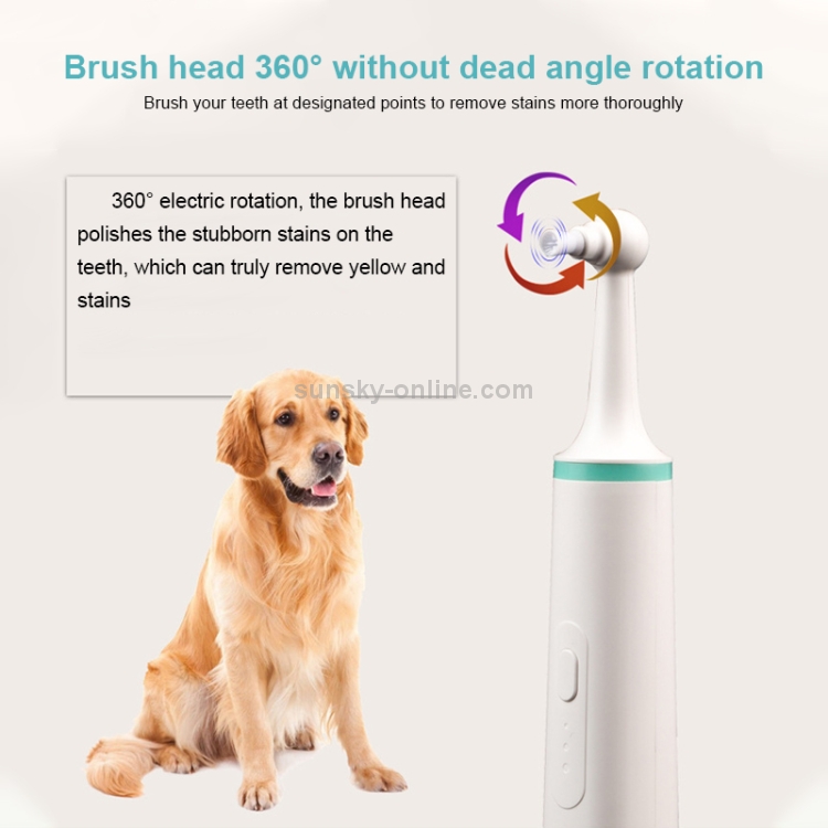 an electric toothbrush for your dog