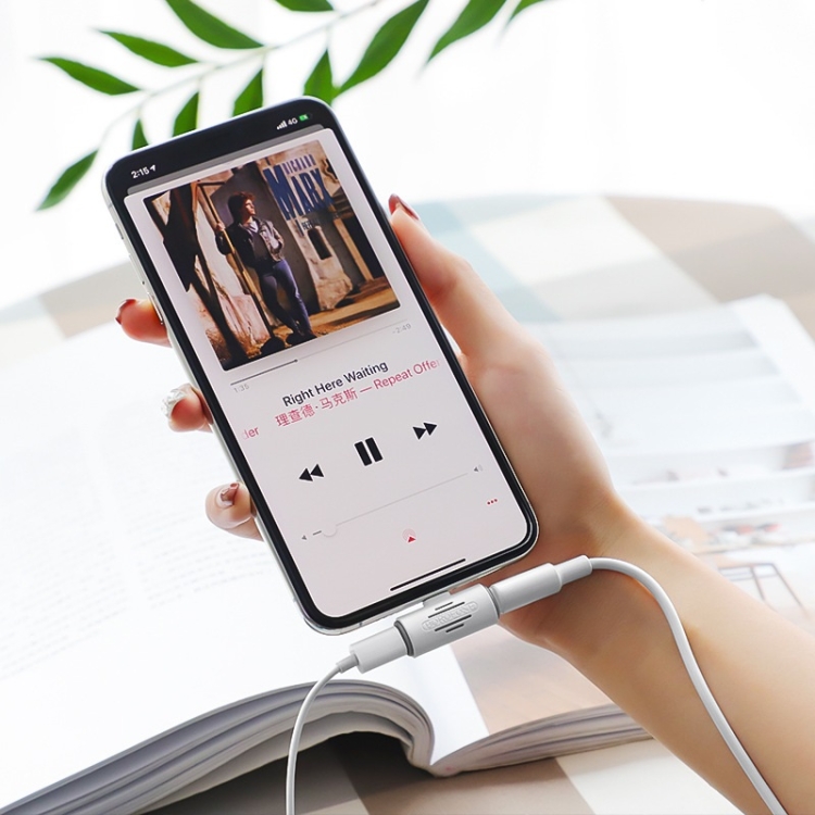 Borofone BV6 Dual 8 Pins to 8 Pin Charging & Music Digital Audio Mini Converter Borofone BV6 Dual 8 Pins to 8 Pin Charging & Music Digital Audio Mini Converter