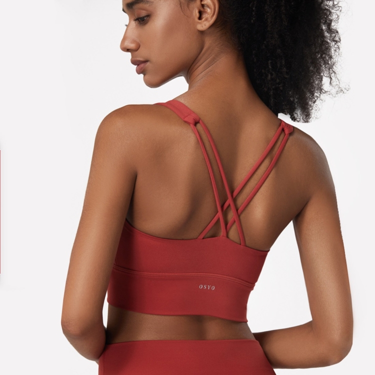 Women Sports Bra Sexy Underwear Women Gym Sport Bra Crop Top Chest Pad  Removable (Color : Cayenne Red, Size : Small) : : Clothing, Shoes  & Accessories