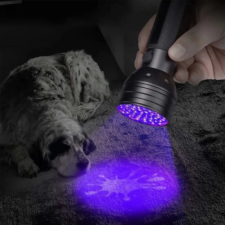 2pcs Linterna Ultravioleta,detector Orina De Mascota,billete