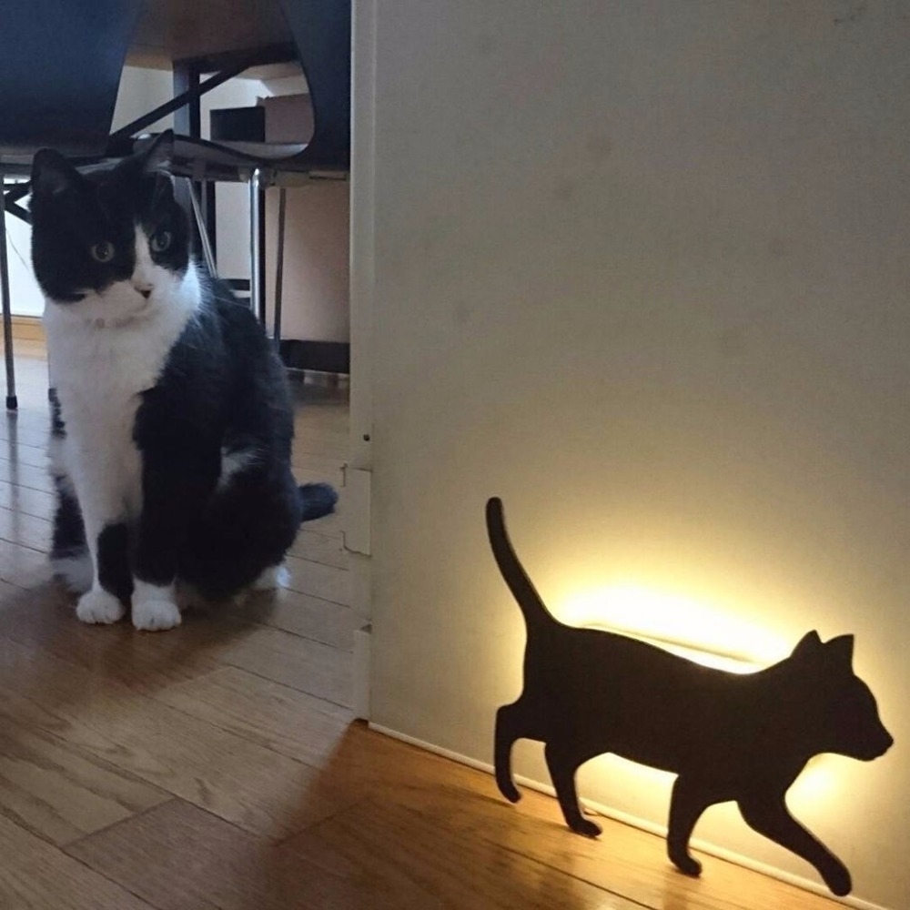 Gato com luz led