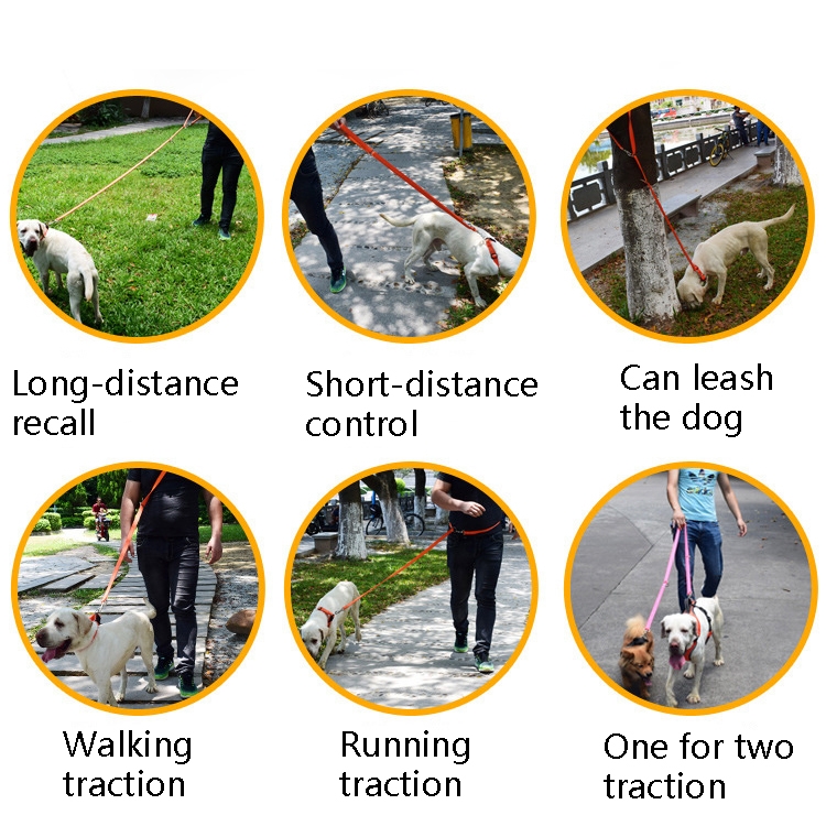 SUNSKY สายจูงสุนัขมัลติฟังก์ชั่นกลางแจ้ง Doubleend Nylon Running