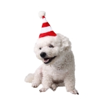 Красная и белая полосатая рождественская шапка для собак в западном стиле, удобная рождественская шапка для детей (красная)