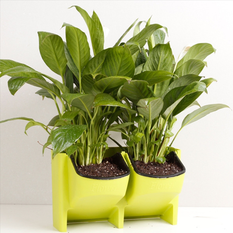 Cabilock Vaso Da Fiori In Plastica Decorazione Per Interni Ed