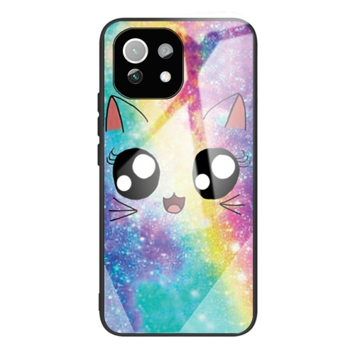 

For Xiaomi Mi 11 Pro Colorful Painted Glass Shockproof Protective Case(Big eyes animal)