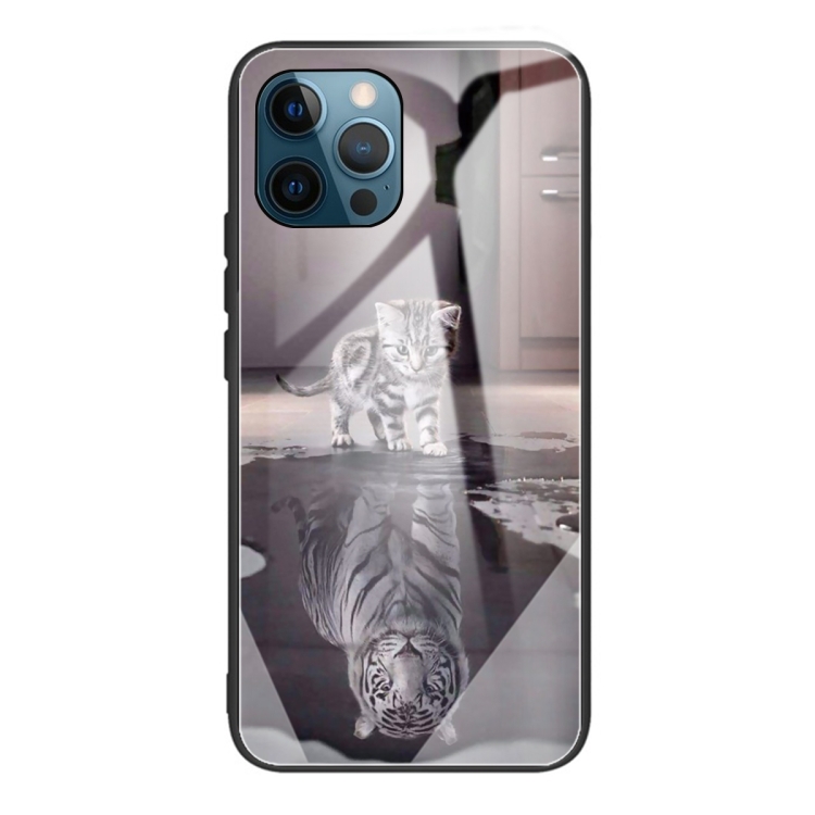 

Colorful Painted Glass Shockproof Protective Case For iPhone 13 Pro(Cat)