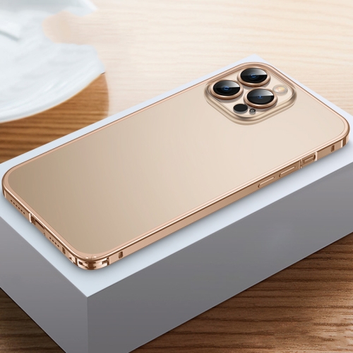 

Frosted Phone Case with Lens Protection For iPhone 12 Pro Max(Gold)