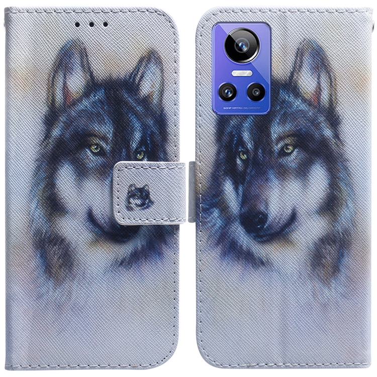 

For OPPO Realme GT Neo3 Coloured Drawing Leather Phone Case(White Wolf)