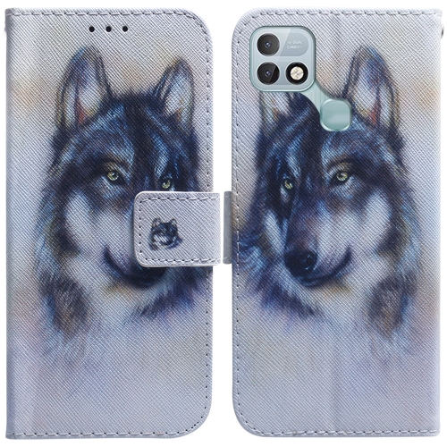 

For Infinix Hot 10i / Smart 5 Pro X659B / PR652B / S658E Coloured Drawing Leather Phone Case(White Wolf)