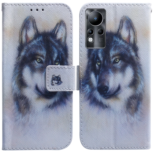 

For Infinix Note 11 Coloured Drawing Leather Phone Case(White Wolf)