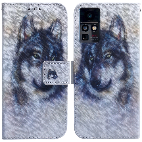 

For Infinix Zero X / X Pro Coloured Drawing Leather Phone Case(White Wolf)