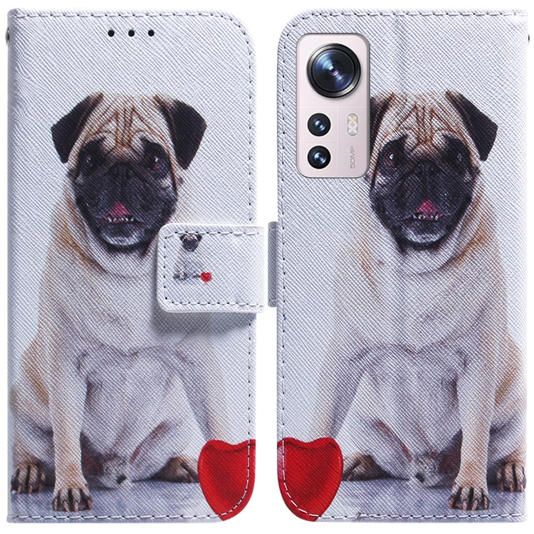 

For Xiaomi 12 Lite Coloured Drawing Leather Phone Case(Pug)