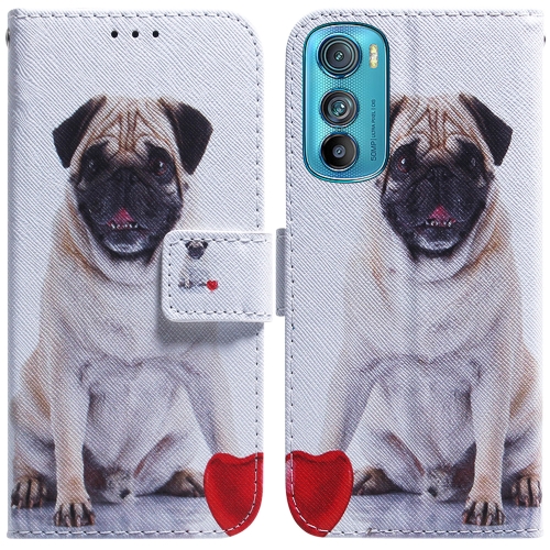 

For Motorola Edge 30 Coloured Drawing Leather Phone Case(Pug)