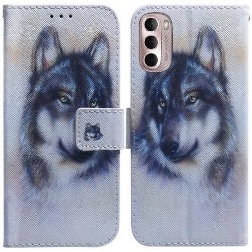 

For Motorola Moto G Stylus 4G 2022 Coloured Drawing Leather Phone Case(White Wolf)