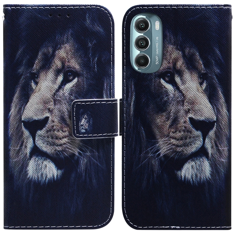 

For Motorola Moto G Stylus 5G 2022 Coloured Drawing Leather Phone Case(Lion)