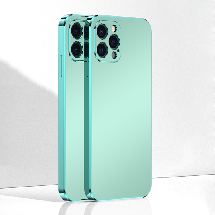 

Ultra Thin Electroplated Frosted TPU Phone Case For iPhone 12 Pro Max(Light Green)