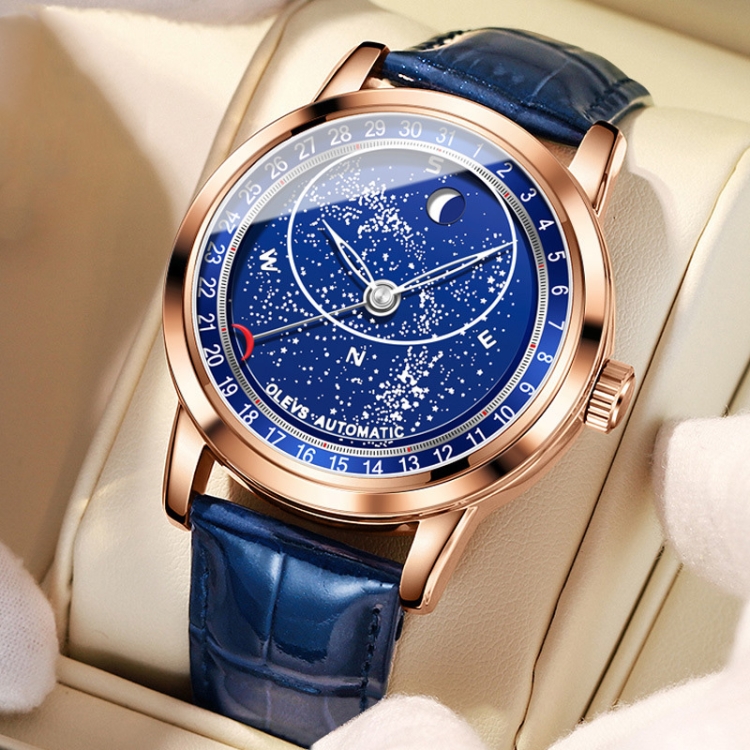 

OLEVS 9923 Luminous Starry Dial Automatic Mechanical Men Watch(Rose Gold)