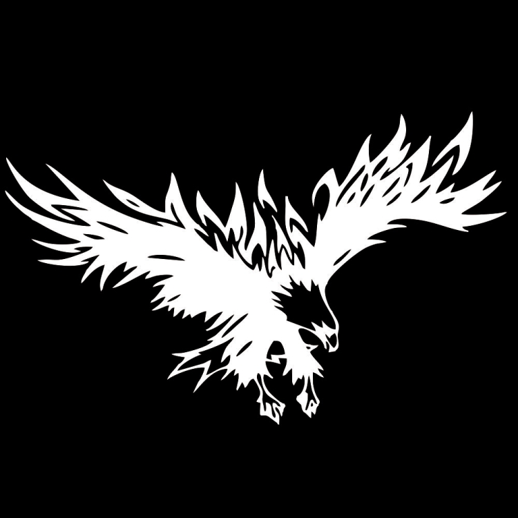 

D-733 Eagle Pattern Car Modified Hood Decorative Sticker(White)