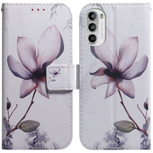 

For Motorola Moto G62 5G Coloured Drawing Leather Phone Case(Magnolia Flower)