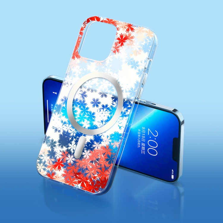 

For iPhone 11 Pro Frosted MagSafe Phone Case (M2)