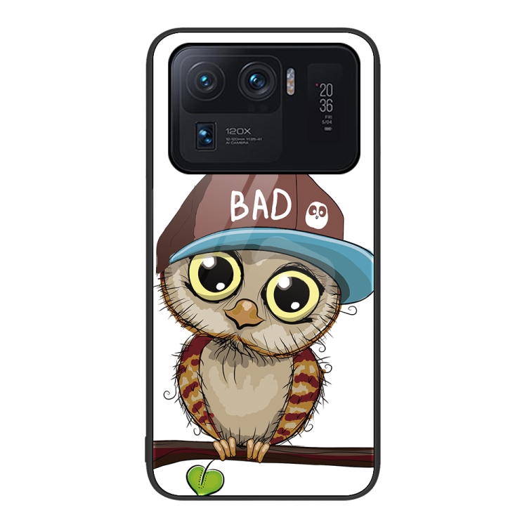 

For Xiaomi Mi 11 Ultra Colorful Painted Glass Phone Case(Owl)