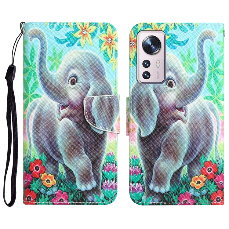 

For Xiaomi 12 Lite Colored Drawing Leather Phone Case(Elephant)