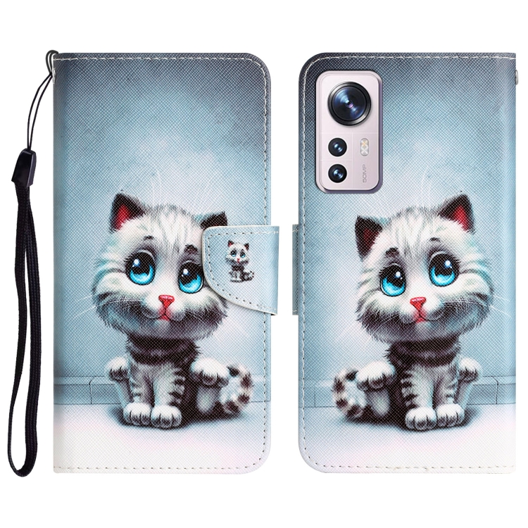 

For Xiaomi 12 Lite Colored Drawing Leather Phone Case(Blue Eyes)