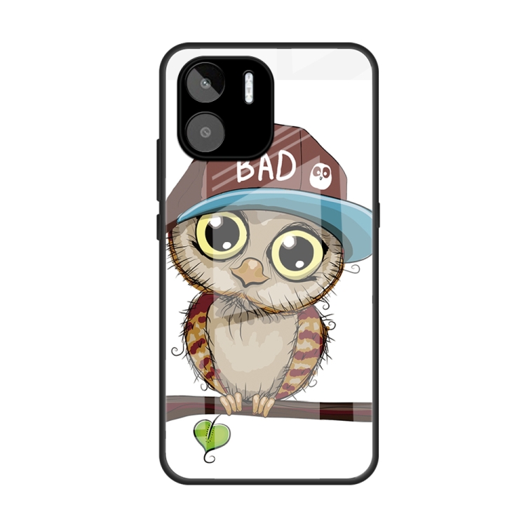 

For Xiaomi Redmi A1 4G Colorful Painted Glass Phone Case(Owl)