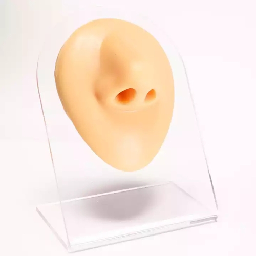 

Simulation Facial Features Silicone Model Practice Display Props, Style:Nose(Flesh Color)