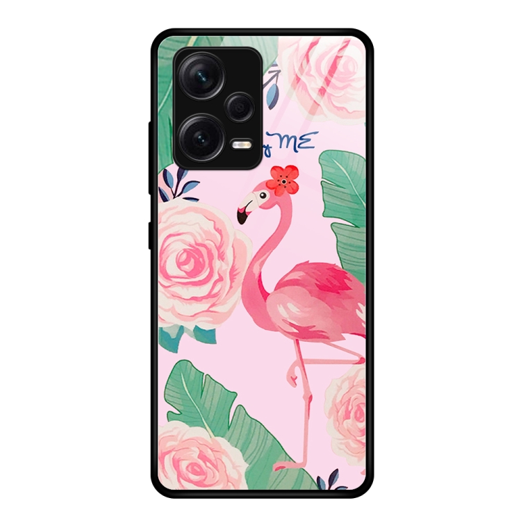 

For Xiaomi Redmi Note 12 Pro+ Colorful Painted Glass Phone Case(Flamingo)