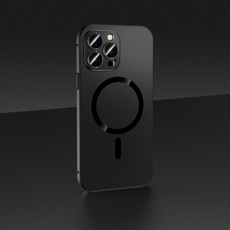 

For iPhone 12 Pro Max Skin Feel Frosted Magsafe Magnetic Phone Case(Black)