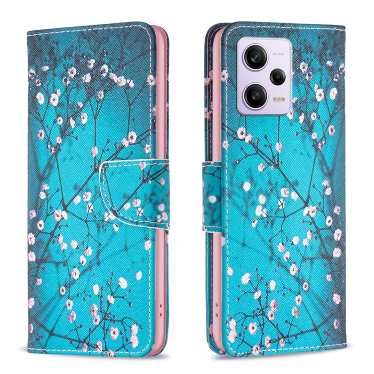 

For Xiaomi Redmi Note 12 Pro+ Global Drawing Pattern Leather Phone Case(Plum Blossom)
