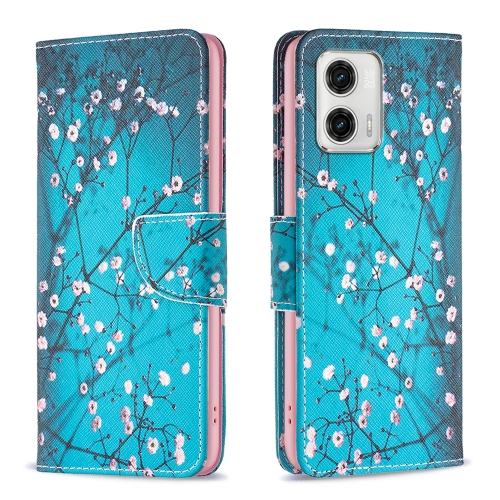 

For Motorola Moto G73 5G Colored Drawing Pattern Leather Phone Case(Plum Blossom)