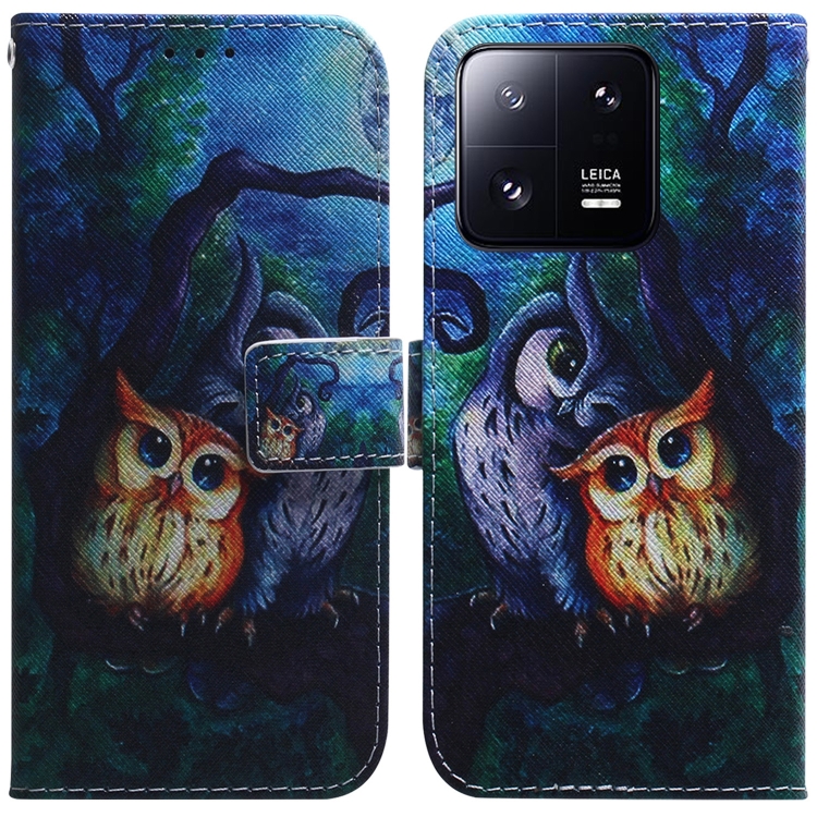 

For Xiaomi 13 Pro 5G Coloured Drawing Flip Leather Phone Case(Oil Painting Owl)