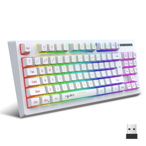 HXSJ L100 87 Keys RGB Backlit Film 2.4G Wireless Keyboard(White)