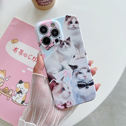 

For iPhone 13 Pro Max PC Phone Case(White Cat)