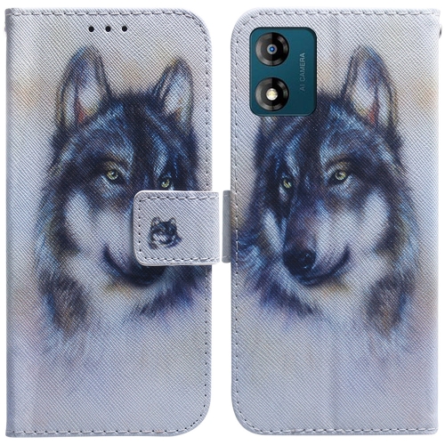 

For Motorola Moto E13 Coloured Drawing Flip Leather Phone Case(White Wolf)