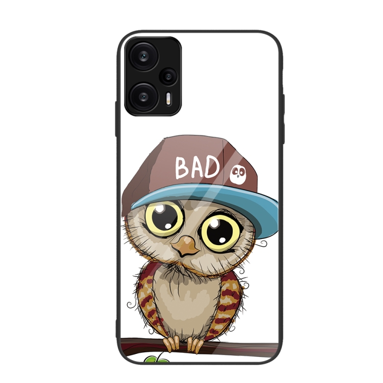 

For Xiaomi Redmi Note 12 Turbo Colorful Painted Glass Phone Case(Owl)