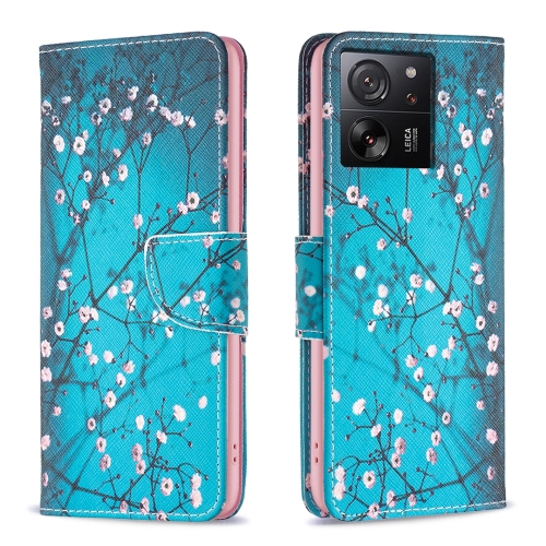 

For Xiaomi 13T / 13T Pro / Redmi K60 Ultra Colored Drawing Pattern Leather Phone Case(Plum Blossom)
