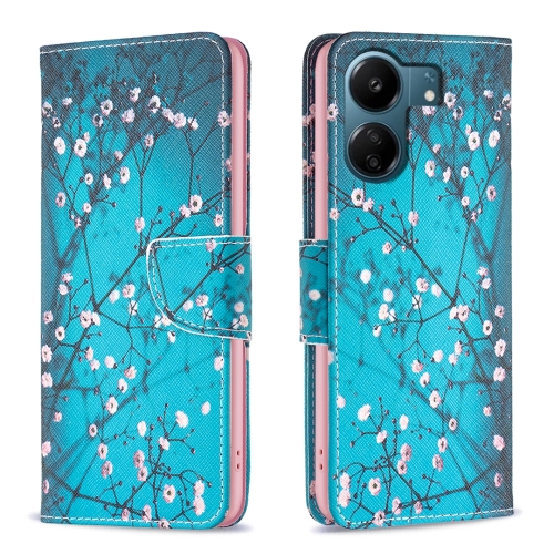 

For Xiaomi Redmi 13C Colored Drawing Pattern Leather Phone Case(Plum Blossom)